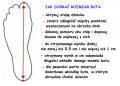 pomiar stopy rozmiaru buta.png