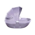 mini dolce 03 violet 6.jpg
