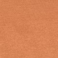 Carrello Bravo Plus Tango Orange color.jpg