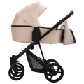 Flavio_LTD_01_g1.png