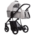 Flavio_LTD_02_g2.png