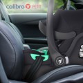 fotelik-samochodowy-colibro-petit-onyx (1).jpg