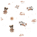 MIS-PILOT-BEZ.png