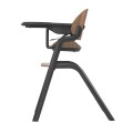 Pure 09_side view_footrest down.jpg