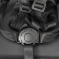 Pure_buckle 2.jpg