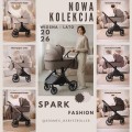 SPARK adamex newsletter 1 new.jpg