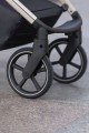 dCarrello Vector_003.jpg