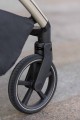 dCarrello Vector_004.jpg
