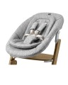 Carrello Focus CRL-16801_1.jpg